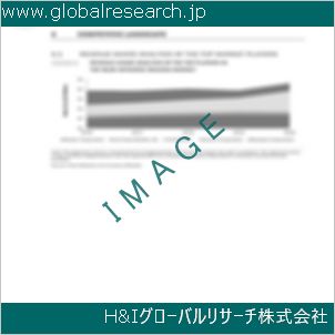 グローバルリサーチ調査資料のイメージ